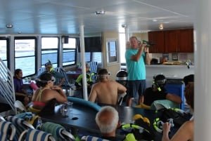 From Ma'alaea Harbor: Molokini Snorkeling Adventure