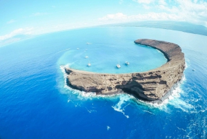 From Ma'alaea Harbor: Molokini Snorkeling Adventure