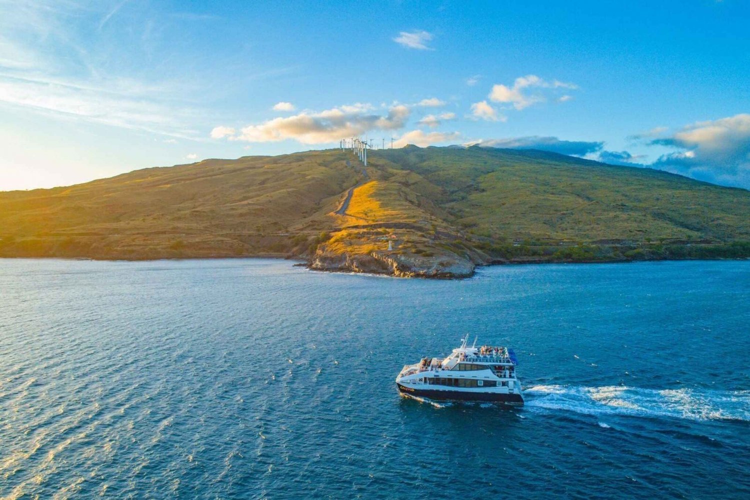 South Maui: Whale Watching Cruise Aboard Calypso