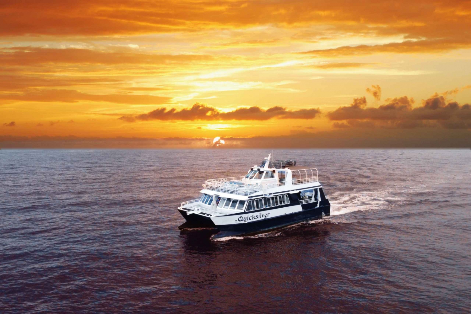 Från Ma'alaea: Middagskryssning vid solnedgången ombord på Quicksilver