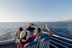 Från Ma'alaea: Middagskryssning vid solnedgången ombord på Quicksilver