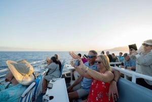 Ab Ma'alaea: Dinner-Kreuzfahrt bei Sonnenuntergang an Bord der Quicksilver