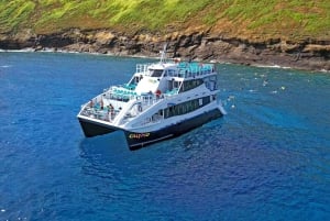 Fra Ma'alaea: Thanksgiving-cruise med middag om bord på Calypso