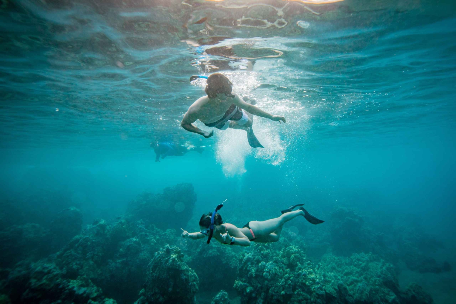 De Maalaea: Aventura de 3 horas com snorkel e vela em Turtle Town