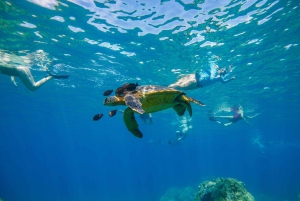 De Maalaea: Aventura de 3 horas com snorkel e vela em Turtle Town