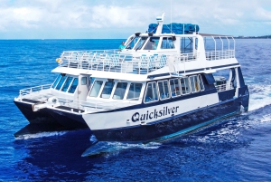 Fra Ma'alaea: snorkling i Turtle Town om bord på Quicksilver