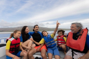 Fra Ma'alaea: snorkling i Turtle Town om bord på Quicksilver