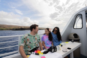 Fra Ma'alaea: snorkling i Turtle Town om bord på Quicksilver