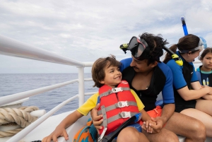 Fra Ma'alaea: snorkling i Turtle Town om bord på Quicksilver