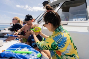 Fra Ma'alaea: snorkling i Turtle Town om bord på Quicksilver