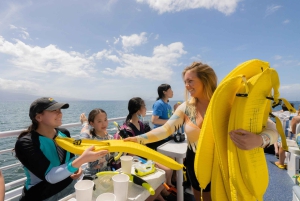 Fra Ma'alaea: snorkling i Turtle Town om bord på Quicksilver