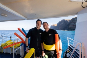 Fra Ma'alaea: snorkling i Turtle Town om bord på Quicksilver