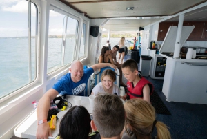 Fra Ma'alaea: snorkling i Turtle Town om bord på Quicksilver