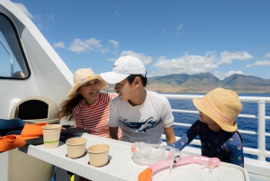 Fra Ma'alaea: snorkling i Turtle Town om bord på Quicksilver