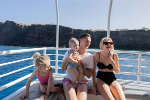 Fra Ma'alaea: snorkling i Turtle Town om bord på Quicksilver