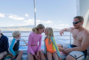 Fra Ma'alaea: snorkling i Turtle Town om bord på Quicksilver