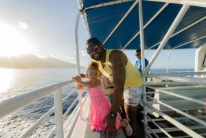 Fra Ma'alaea: snorkling i Turtle Town om bord på Quicksilver