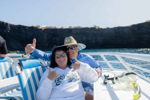 Fra Ma'alaea: snorkling i Turtle Town om bord på Quicksilver