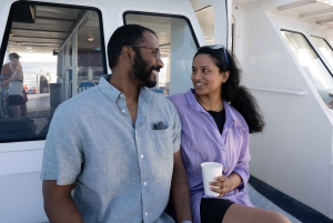 Fra Ma'alaea: snorkling i Turtle Town om bord på Quicksilver