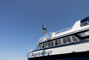 Fra Ma'alaea: snorkling i Turtle Town om bord på Quicksilver