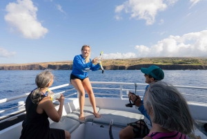 Fra Ma'alaea: snorkling i Turtle Town om bord på Quicksilver