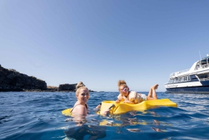 Fra Ma'alaea: snorkling i Turtle Town om bord på Quicksilver