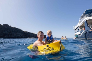 Fra Ma'alaea: snorkling i Turtle Town om bord på Quicksilver