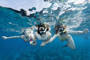 Fra Ma'alaea: snorkling i Turtle Town om bord på Quicksilver