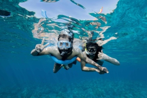 Fra Ma'alaea: snorkling i Turtle Town om bord på Quicksilver