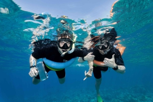 Fra Ma'alaea: snorkling i Turtle Town om bord på Quicksilver