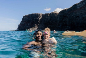 Fra Ma'alaea: snorkling i Turtle Town om bord på Quicksilver