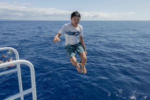 Fra Ma'alaea: snorkling i Turtle Town om bord på Quicksilver