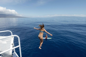 Fra Ma'alaea: snorkling i Turtle Town om bord på Quicksilver