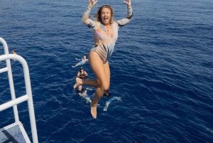 Fra Ma'alaea: snorkling i Turtle Town om bord på Quicksilver