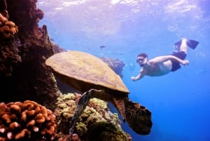 From Ma'alaea: Turtle Town Snorkel Aboard the Quicksilver