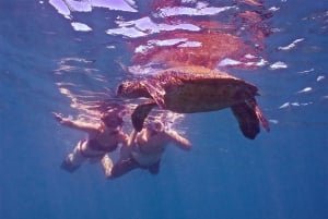 De Ma'alaea: Snorkel na Cidade das Tartarugas a bordo do Quicksilver