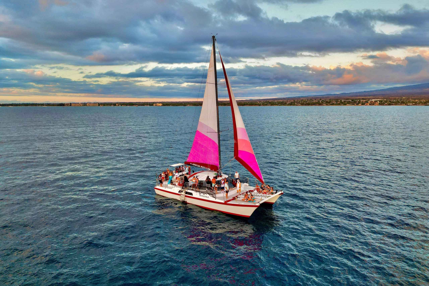 Da Maalaea: Crociera per avvistare le balene in catamarano con bevande