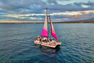 Da Maalaea: Crociera per avvistare le balene in catamarano con bevande