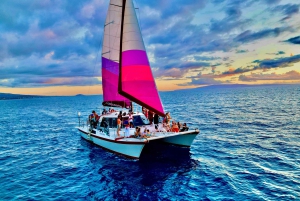 Da Maalaea: Crociera per avvistare le balene in catamarano con bevande