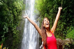 Van Maui: Road to Hana Regenwoud en waterval ervaring