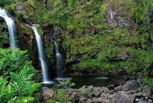 Van Maui: Road to Hana Regenwoud en waterval ervaring