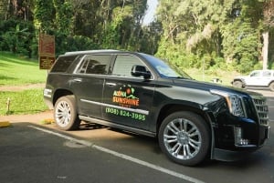 Van Maui: Road to Hana Regenwoud en waterval ervaring