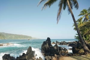 Van Maui: Road to Hana Regenwoud en waterval ervaring