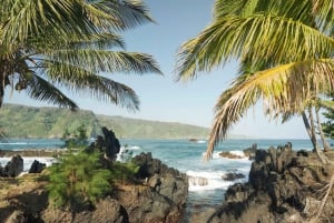 Van Maui: Road to Hana Regenwoud en waterval ervaring