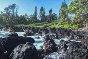 Van Maui: Road to Hana Regenwoud en waterval ervaring