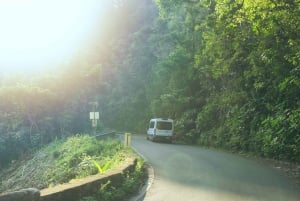 Van Maui: Road to Hana Regenwoud en waterval ervaring