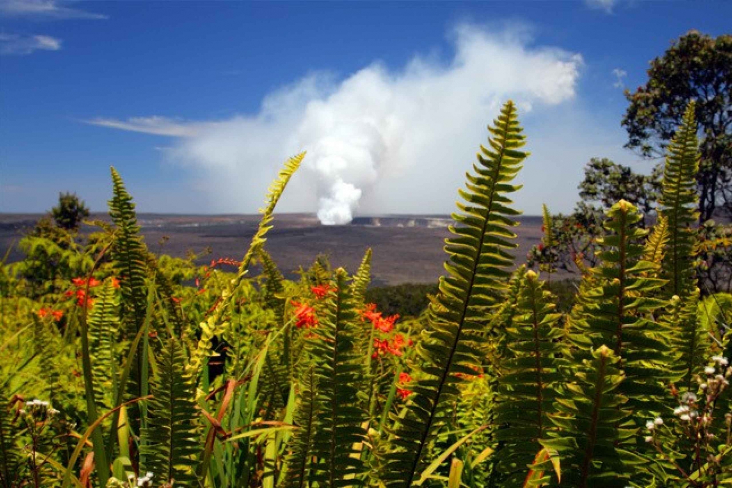 Fra Oahu: Vulkaneventyr på Big Island