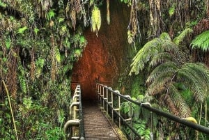 From Oahu: Hawaii Volcanoes National Park Experience