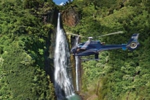 From Oahu: Kauai Helicopter and Ground Tour