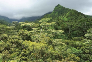 Z Oahu: Najważniejsze atrakcje Kauai i miejsca znane z filmów